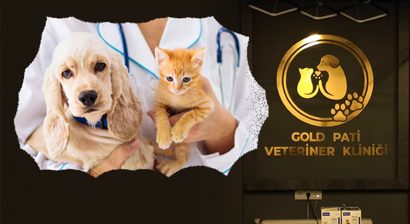 Gold Pati Veteriner Kliniği Kırklareli Merkezde Hizmetinizde...